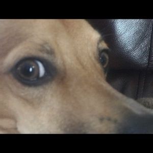 Meet your Posher, Lane